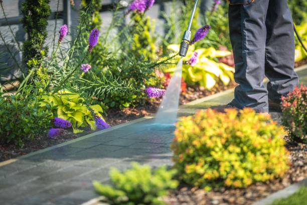 Best Gutter Cleaning  in Doffing, TX